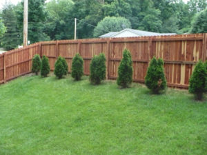 Wood Privacy Fence St Louis MO