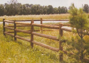 Fences Wildwood