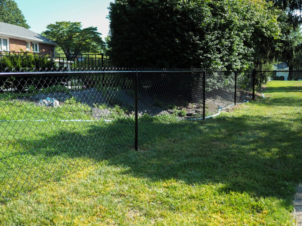 Chain link fence in backyard with trees