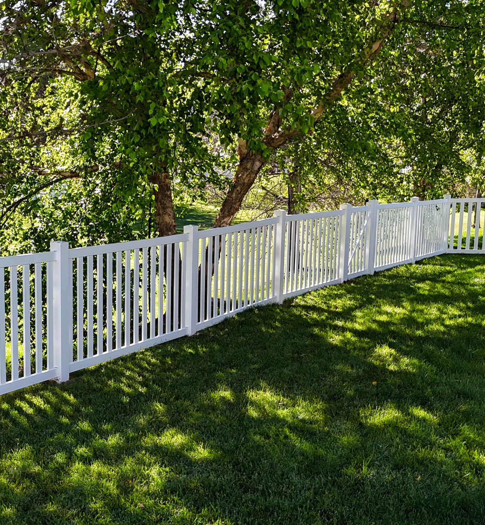 Vinyl Fence in a backyard with trees