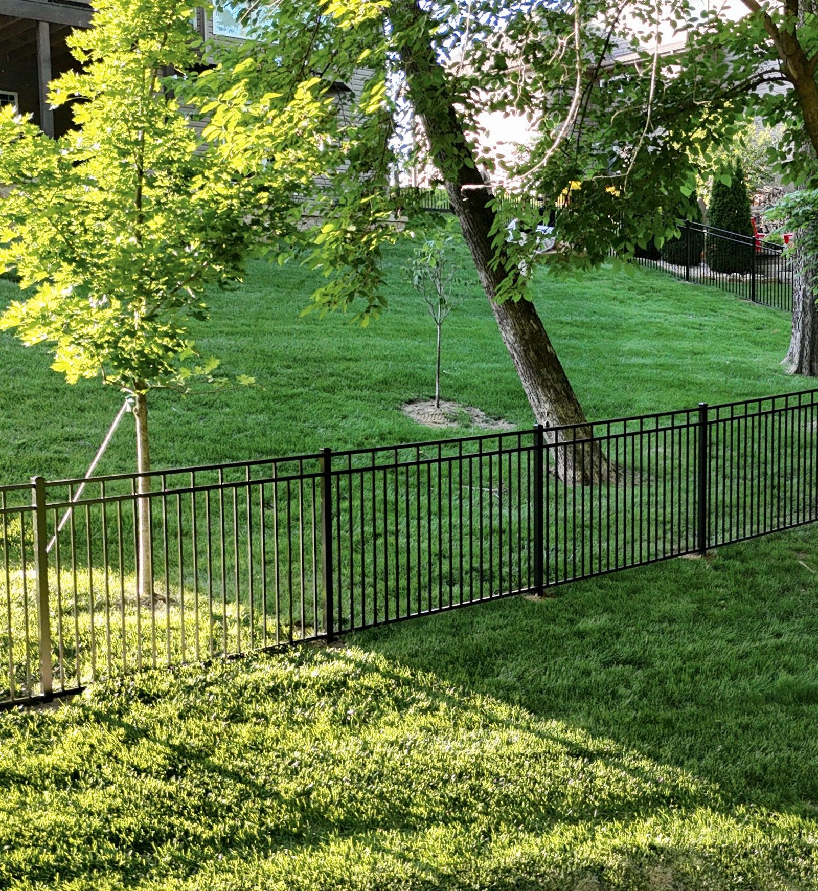 Aluminum fence in a hill backyard with trees during golden hour